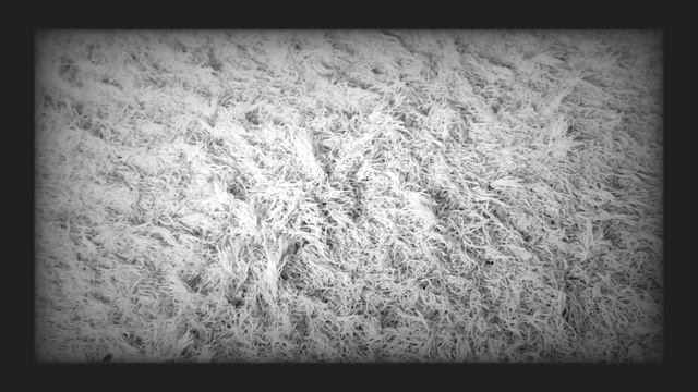 Elegia - Eino Leino смотреть онлайн