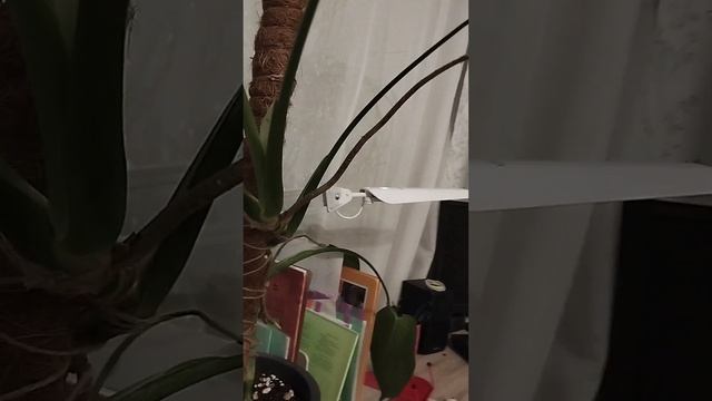 Влог со вторника | Мой школьный день | Первое видео смотреть онлайн