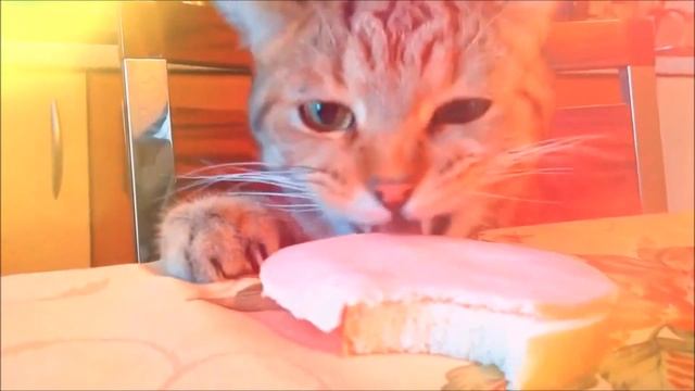 Про Черного Кота... смотреть онлайн