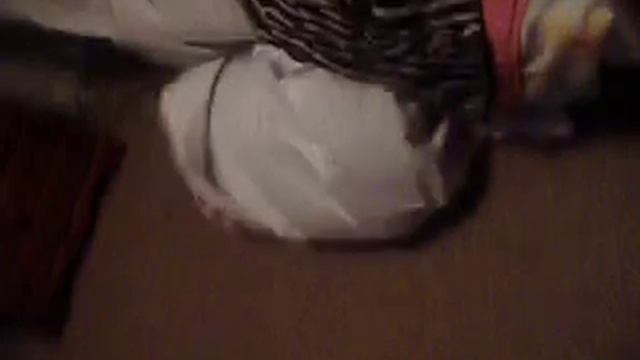 The butterfly affect смотреть онлайн