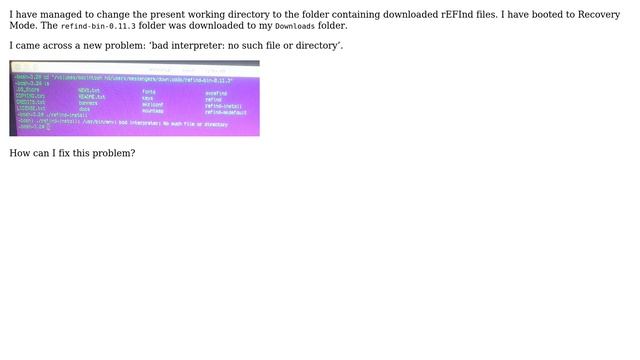 Apple: Cannot run refind-install from Recovery because "/usr/bin/env: bad interpreter" смотреть онлайн