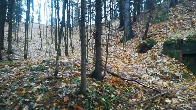 Замаскированные в холмах Доты времен ВОВ. смотреть онлайн