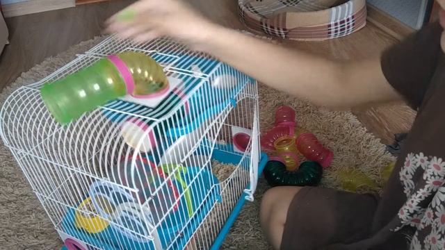 Чистка клетки хомяка.