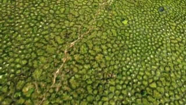 17 Загадки планеты Земля смотреть онлайн