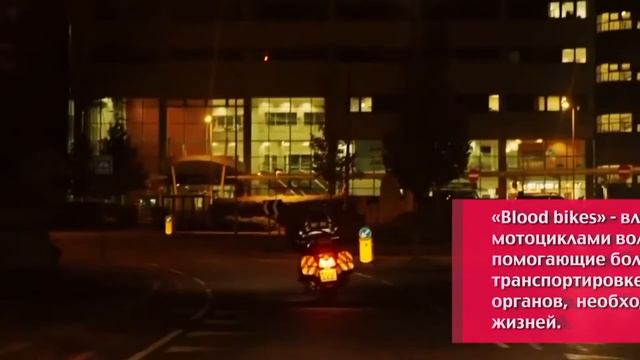 Этот день в истории: 19 июня — Всемирный день мотоциклиста