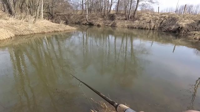 Исток реки Птичь. Первое знакомство. Прогулка со спиннингом. Рыбалка в Беларуси. смотреть онлайн