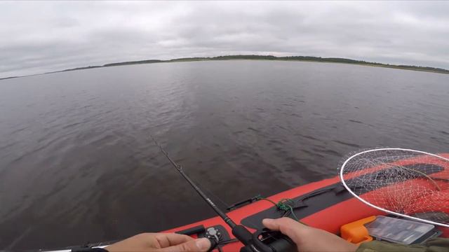 Мультипликаторная катушка . Abu Garcia Revo Beast X 41-L 6.4:1. Обзор. Тестирование на водоёме.