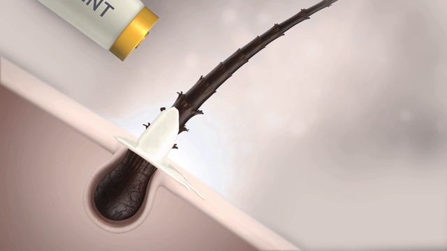 Vatika Oil Replacement - Arabic