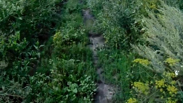 Жизнь в Российской деревне, Фатежский район Курской области. Местные районные власти называют это " смотреть онлайн