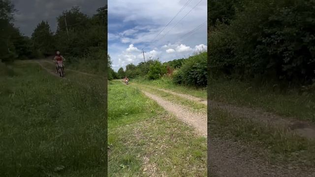 Kayo t2 MX даёт дару смотреть онлайн