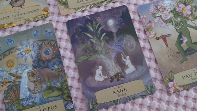 New deck day ? The Herbal Astrology Oracle ? смотреть онлайн