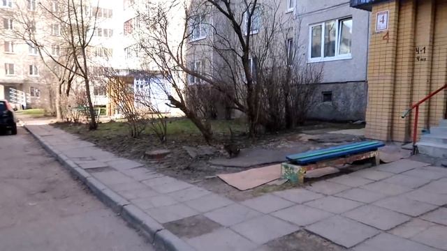 МОЙ ВЫПУСКНОЙ. НАКРЫЛА ПОЛЯНКУ. ВЕСЕННИЕ КОФЕЙНЫЕ ПОСИДЕЛКИ. ДВОР МОЕГО ДЕТСТВА. смотреть онлайн