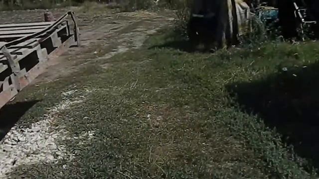 Солим на зиму помидоры,и в гостях мой племянник!!! смотреть онлайн