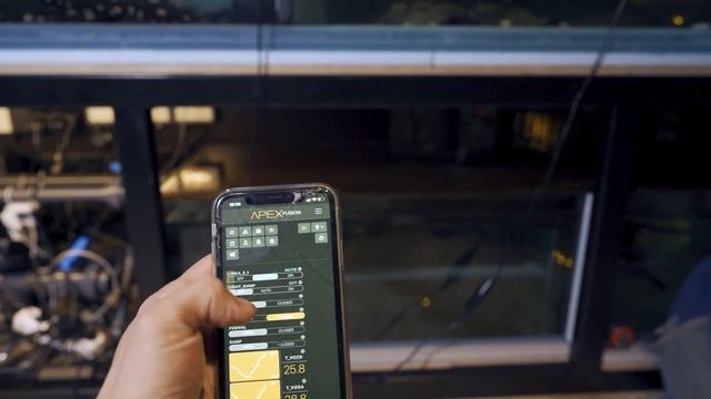 Освещение в тумбе и технической зоне аквариума/ Теплый ламповый свет в тумбу смотреть онлайн