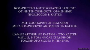 КАК СПОРТ ВЛИЯЕТ НА МИТОХОНДРИИ
