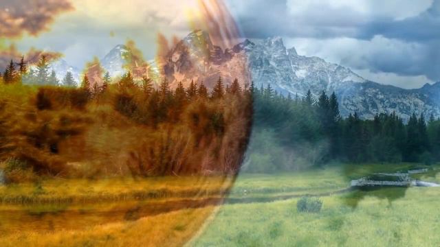 Ошо - Колея и Колесо! смотреть онлайн