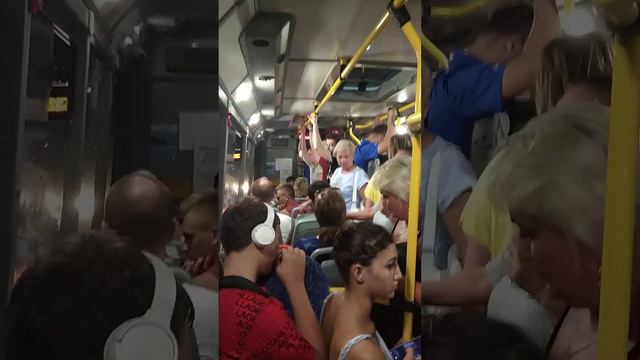 517 маршрут Сочи (Адлер) 💦 плотно, влажно, пахнет смотреть онлайн