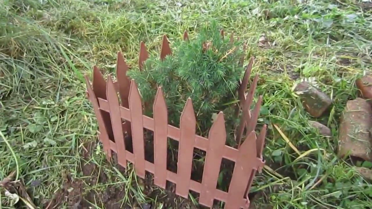 Деревня Подлядье.   Июнь 2012 г.