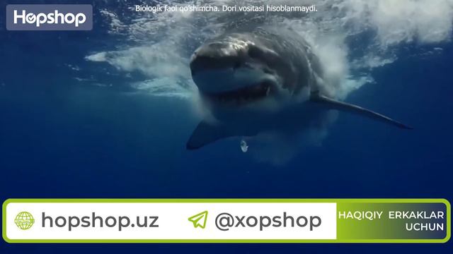 Ekstra Kuch - Erkaklar salomatligi uchun 100% tabiiy kompleks смотреть онлайн