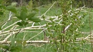 Таинственные места и аномальные зоны которых нет на картах