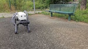 Новый робот пылесос