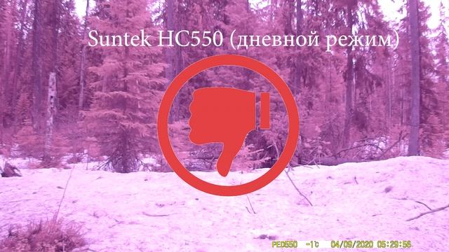 Лесные фотоловушки и тест экшн-камеры Boly (Boly Action Camera). смотреть онлайн