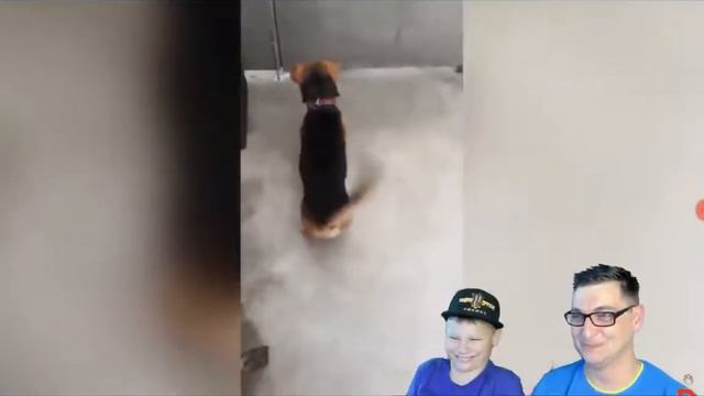 Я очень сильно извиняюсь если что не было долго видео это рубрика Ну не будет такой рубрика не засм смотреть онлайн
