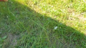 ЗиЛ-157 медные трубки, бобышки и припой