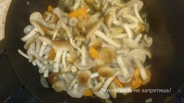 Фотография Природы и Ландшафтов