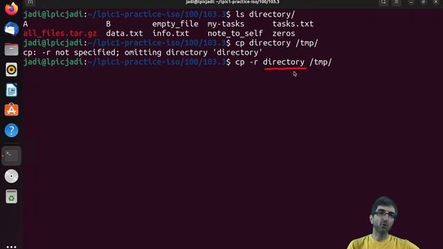 File management in Linux; Part 1/3; ls, copy (cp), move(mv), remove(rm) of files and directories смотреть онлайн
