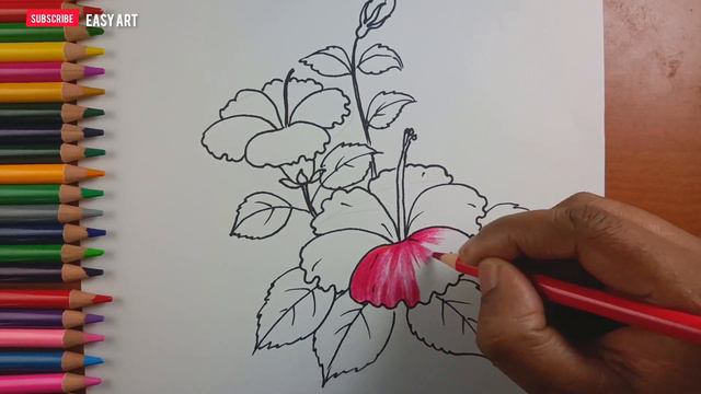 How to draw Hibiscus for beginners, step by step tutorial | draw Hibiscus for beginners смотреть онлайн