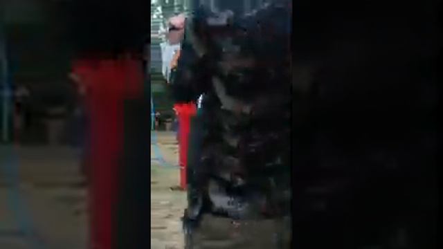 Туй тиллоказ* Костя* пенджикент смотреть онлайн