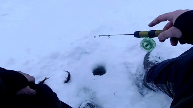 Ловли крупного Окуня на Ламбине зимой на балансир. Часть 1 смотреть онлайн