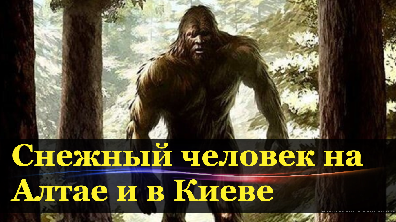 Появление Снежного Человека в Киеве и на Алтае. Мемуары Уфолога Аланьи. смотреть онлайн