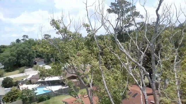 dead tree removal with bucket truck and 201 TC s STIHL смотреть онлайн