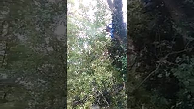 Будни электромонтёра(2) смотреть онлайн