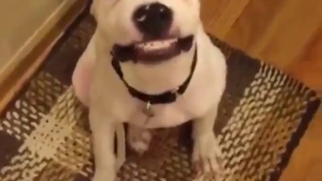 Скажи сыр смотреть онлайн