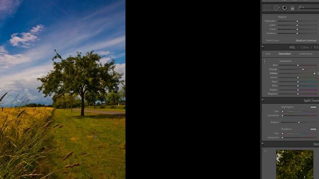 Master Lightroom 3 In 2 hours ! Tutorial by Serge Ramelli смотреть онлайн