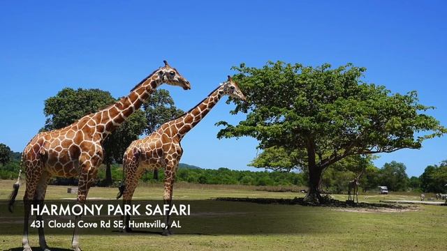 Huntsville, Alabama - The TOP 10 Places you NEED to see! смотреть онлайн