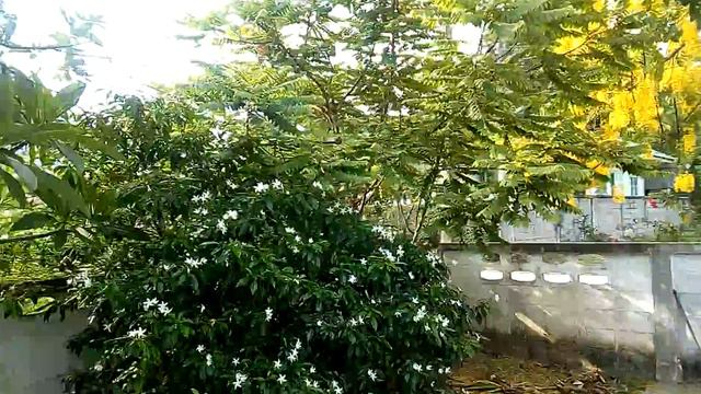 Доброе апрельское утро