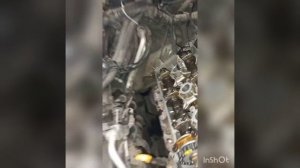 Замена цепи ГРМ Тойота Прадо 120