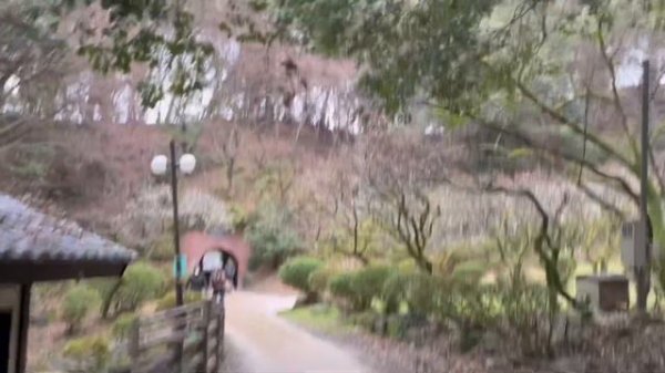 sub･vlog🌸福岡旅行おすすめスポット25選🤩太宰府の穴場スポット巡り,予約必須の人気居酒屋&カフェ☕️