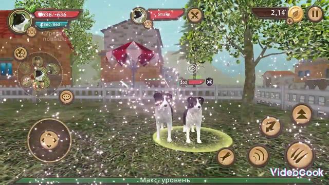 Продолжаю снимать на 20 подписчиков:) ведь я стараюсь а настарайшиних надо уважать и любить:)) смотреть онлайн