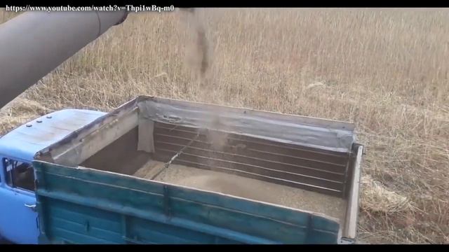 Географія. 10 кл. Урок 22. Первинний сектор Азії смотреть онлайн