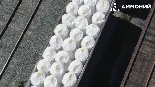 Рубрика: «Портрет Аммония: Александр Бычков» смотреть онлайн