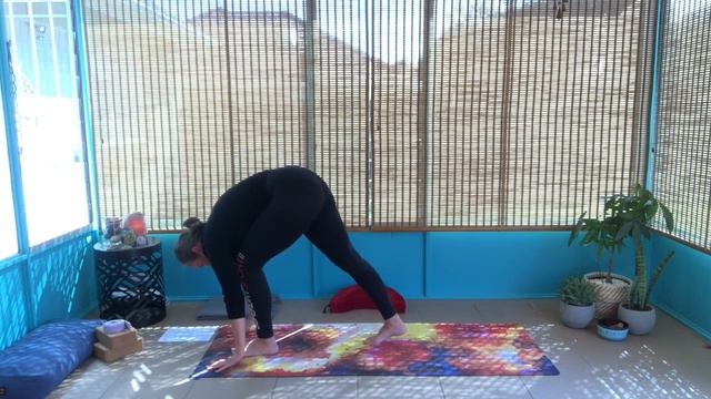 Hatha Yoga for Core with Natalie смотреть онлайн
