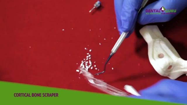 Скребок для кости и десны - CORTICAL BONE SCRAPER+SOFT TISSUE HARVESTER смотреть онлайн