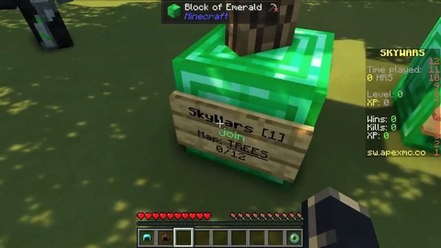 How to Install and Play Skywars On Your Minecraft Server смотреть онлайн