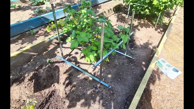 Инструкция по сборке Кустодержателя Пирамида смотреть онлайн