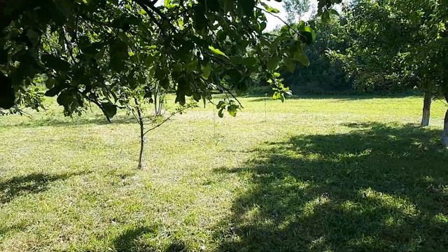 Рожь зреет,сено убрано)) смотреть онлайн